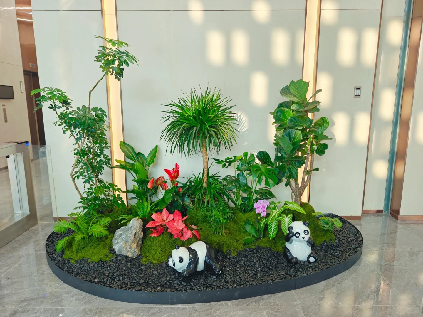 专业花卉出租在北仑,为您营造梦幻花卉世界